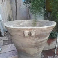گلدان|گل و گیاه طبیعی|شیراز, شهرک پرواز|دیوار