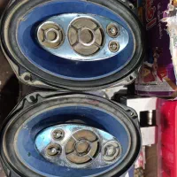 باند پایونیر6991