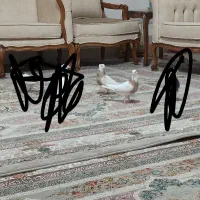 طوقی فروشی|پرنده|نطنز, |دیوار
