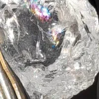 یک عدد دور کوهی