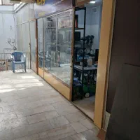 مغازه