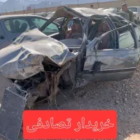 پارس/خریدار تصادفی