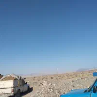 کود مرغ آماده تحویل سایپایی