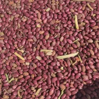 یک تن لوبیا قرمز|خوردنی و آشامیدنی|کوهرنگ, |دیوار