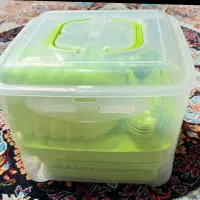 ظرف مسافرتی