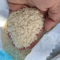 برنج خوشپخت