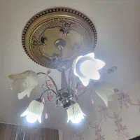 دو عدد لوستر