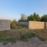 زمین مسکونی۲۱۶متری/دور دیوار/چشم انداز شالیزار