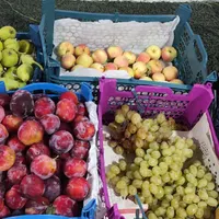 انواع میوه درجه یک تا فردا ۷۵