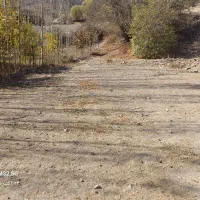 فروش زمین ییلاقی ابگرم لاریجان|فروش زمین و ملک کلنگی|آکند, |دیوار