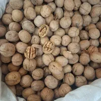 برنج، گردو، مغز گردو دندونه و دوپر، بادام تک پوست|خوردنی و آشامیدنی|اصفهان, دستگرده|دیوار