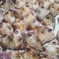 کله پاچه|خوردنی و آشامیدنی|نسیمشهر, |دیوار