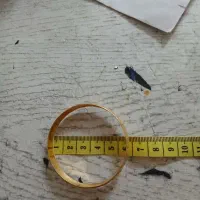 النگوی نو|جواهرات|فردیس, سرحدی|دیوار