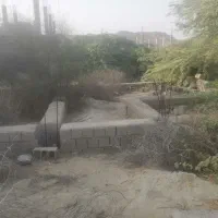 زمین در تیس محله چاولی ها