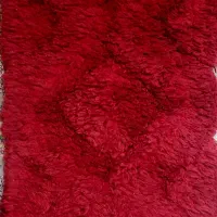 فرش پادری کاملا سالم ۸۰در۵۰