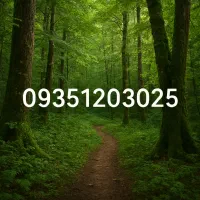 ایرانسل دائمی ۰۹۳۵۱۲۰۳۰۲۵