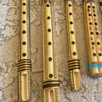 نی انبان حرفه ای