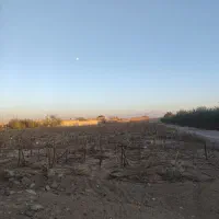 زمین باغی  و ویلایی با سهم آب چاه