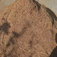 گیاه دارویی هوفاریغون|خوردنی و آشامیدنی|انزل, |دیوار