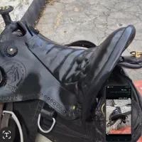 زین اسب|اسب و تجهیزات اسب‌سواری|میاندوآب, |دیوار