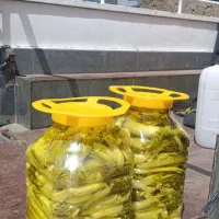 ترشی بیلهردرجه یک به شرط