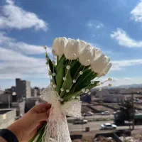 گل لاله|گل مصنوعی|تهران, اقدسیه|دیوار