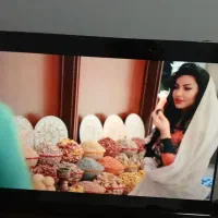 محافظ صفحه تلویزیون