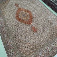 یک جفت ۶ متری ماهی رج ۵۰|فرش|تبریز, |دیوار