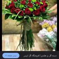 گل و گیاه طبیعی|گل و گیاه طبیعی|شیراز, کوشک میدان|دیوار