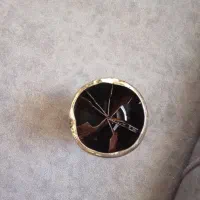 سر اگزوز شکاری
