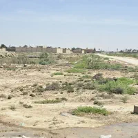 شادگان