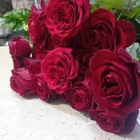 روز پدر نزدیکه