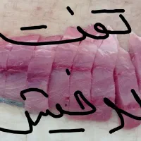 ماهی عمده شیر بندر،سارم سلیمانی
