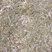 4400000|خوردنی و آشامیدنی|الیگودرز, |دیوار