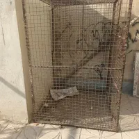 قفس آهنگ  بزرگ  جهت نگهداری  کفتر ومرغ