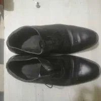 کفش مردانه نو