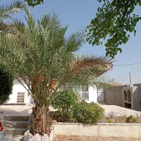 خانه باغ روستایی ۸۰۰متری باصفا|فروش خانه و ویلا|شیراز, صنایع الکترونیک|دیوار