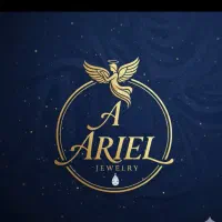 استخدام طلاسازی