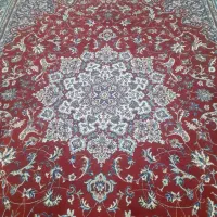 فرش|فرش|تهران, قصر فیروزه ۱|دیوار