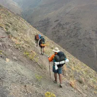 پیمایش هنیز به عسل محله