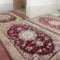 فروش فرش دست دوم در حد نو