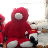 تعدادی عروسک زیبا