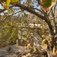 باغچه ۴۰۰ متری با سوییت نوساز وردیج|فروش خانه و ویلا|کن, |دیوار