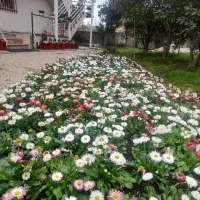 اجاره شبانه ویلا