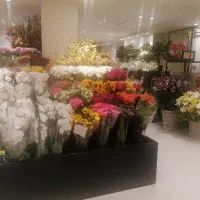 استخدام استاد کار گل