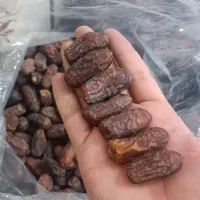 خرما پیارم موجود