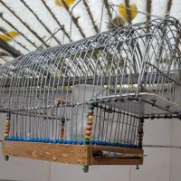قفس تله دستساز|لوازم جانبی حیوانات|الوند, |دیوار