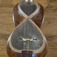 ساز ۲۰ ساله