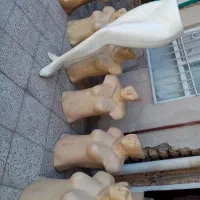 مانکن  پا  ونیم تنه ارزان