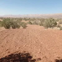 فروش فوری ۳/نیم هکتارزمین بهرجاده خرم آباد کوهدشت|فروش زمین و ملک کلنگی|کوهدشت, |دیوار